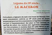 12 - Legume du 19e - Le Maceron.jpg